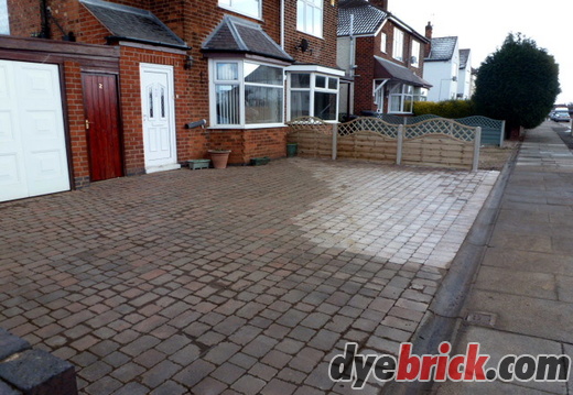 Before Dyebrick